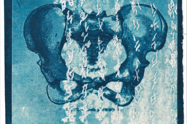 _Of Love and Sorrow in Ant Letters_ cyanotype, 2019 (series).jpg(5) _Of Love and Sorrow in Ant Letters_ cyanotype, 2019 (series).jpg(5)