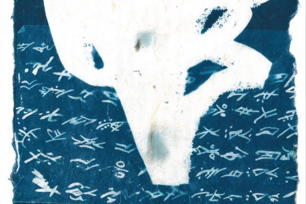 _Of Love and Sorrow in Ant Letters_ cyanotype, 2019 (series).jpg(7) _Of Love and Sorrow in Ant Letters_ cyanotype, 2019 (series).jpg(7)